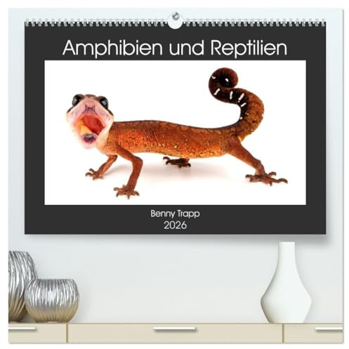 Amphibien und Reptilien (hochwertiger Premium Wandkalender 2026 DIN A2 quer), Kunstdruck in Hochglanz: Amphibien und Reptilien aus aller Welt (CALVENDO Tiere)