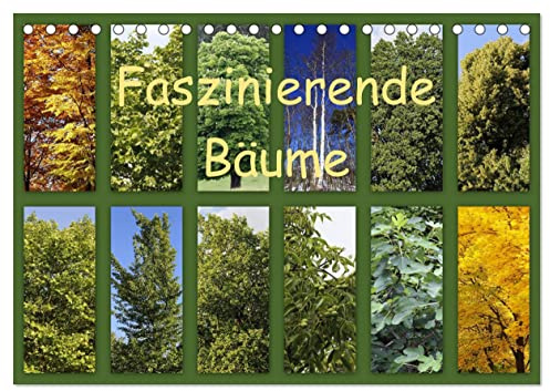 Faszinierende Bäume (Tischkalender 2026 DIN A5 quer), CALVENDO Monatskalender: Fotocollagen mit Bildern von Bäumen und den dazu gehörigen Blüten oder Blättern. (CALVENDO Natur)