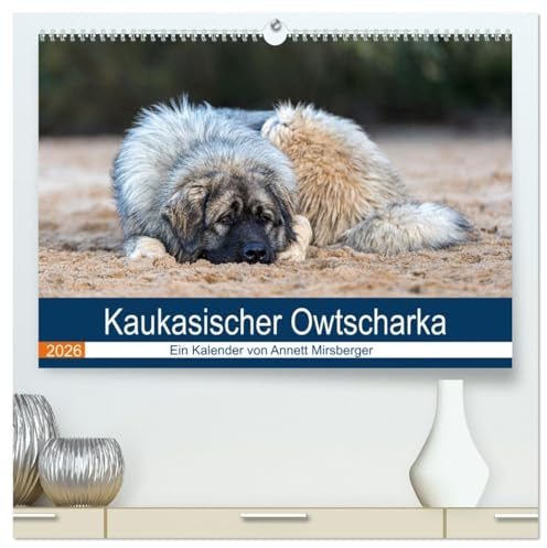 Kaukasischer Owtscharka (hochwertiger Premium Wandkalender 2026 DIN A2 quer), Kunstdruck in Hochglanz: Ihre Aufgabe ist die Bewachung von Haus und Hof und z.B. Schafherden (CALVENDO Tiere)