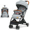 GOPLUS Poussette Canne, Poussette Bebe Légère et Compacte, avec Dossier et Repose-pieds Réglables, Capote Rétractable, Pliage Rapide, Charge 15 kg, pour 6-36 Mois (Gris)
