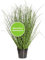 CREATIV green Miscanthus Zebrinus Gras 80cm I Kunstgras mit naturgetreuen Gräsern in grün I realitätsnahe Dekogras Kunstpflanze im Topf I Pflegeleichte Gräser künstlich ideal als Indoor Deko