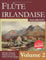 Flûte irlandaise pour débutants - Volume 2: Mélodies irlandaises - Mélodies de Carolan - Chants de Noël celtiques