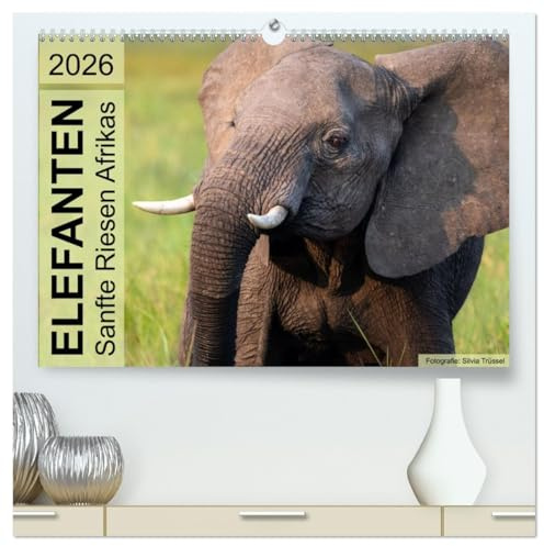 Elefanten - Sanfte Riesen Afrikas (hochwertiger Premium Wandkalender 2026 DIN A2 quer), Kunstdruck in Hochglanz: Begegnungen im südlichen und östlichen Afrika. (CALVENDO Tiere)