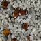 Terralith Edelsteinteppich WAND Tigerauge/Nebula für 1 qm