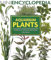 Aquarium Plants: Comprehensive Coverage, from Growing Them to Perfection to Choosing the Best Varieties. (Mini Encyclopedia)