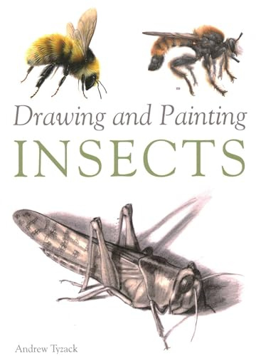 Drawing and Painting Insects