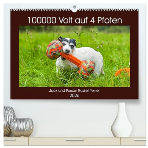 100000 Volt auf vier Pfoten - Jack und Parson Russell Terrier (hochwertiger Premium Wandkalender 2026 DIN A2 quer), Kunstdruck in Hochglanz: Auf 13 ... Hunderasse durch das Jahr (CALVENDO Tiere)