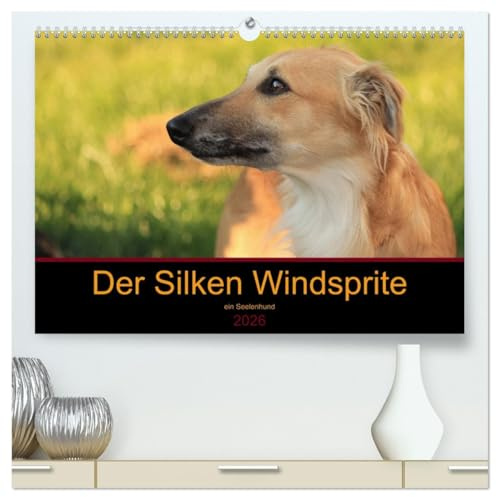 Der Silken Windsprite - ein Seelenhund (hochwertiger Premium Wandkalender 2026 DIN A2 quer), Kunstdruck in Hochglanz: Der Silken Windsprite - eine Rasse mit Charme und Esprit (CALVENDO Tiere)