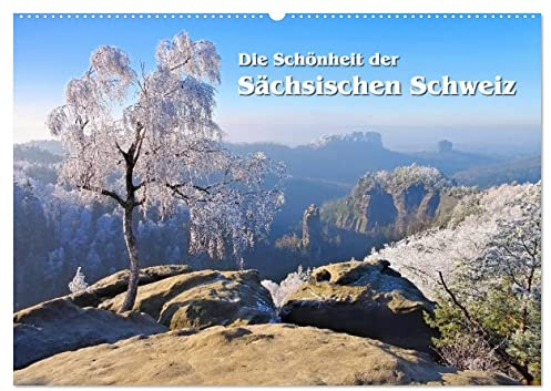 Die Schönheit der Sächsischen Schweiz (Wandkalender 2026 DIN A2 quer), CALVENDO Monatskalender: Wunderschöne Landschaften im Elbsandsteingebirge (CALVENDO Natur)