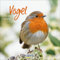 Vögel 2026: Broschürenkalender mit Ferienterminen und Bildern unserer heimischen Vogelwelt. Format: 30 x 30 cm