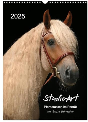 StudioArt Pferderassen im Porträt (Wandkalender 2025 DIN A3 hoch), CALVENDO Monatskalender: Pferdeporträts mit Studiocharakter (CALVENDO Tiere)