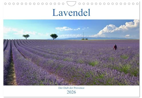 Lavendel. Der Duft der Provence (Wandkalender 2026 DIN A4 quer), CALVENDO Monatskalender: Licht, Duft und Farbe: Lavendel verkörpert die Provence (CALVENDO Natur)