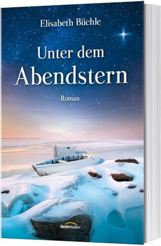 Unter dem Abendstern: Roman