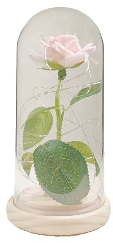 Geschenke zum Hochzeitstag Valentinstag, Personalisierte Rose Lampe, Galaxy Rose Blume Geschenk, Ewige Ros mit LED-Licht in Glaskuppel auf Holzsockel, Einzigartiges Geschenk für Frauen, Mama, Freundin