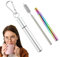 Mixnexorad Pajita portátil, pajitas reutilizables con estuche - Juego de pajitas telescópicas portátiles,Pajitas de metal reutilizables con 1 estuche, 1 cepillo de limpieza, 1 llavero, accesorios de