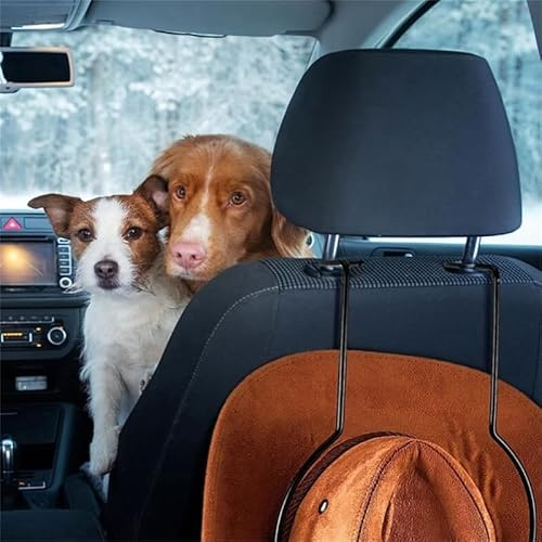 Sxmrmnx 1PCS Cowboy Hat Mounts Rack for Car Truck Seat Car Household Keep Hat Holder for Car Household Storage Replacement Accessories