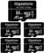 GIGASTONE Micro sd 64 GB, Set da 5, A1 U3 4K, per Telefono Fotocamere Videocamere Dashcam GoPro DJI Drone Fino a 95/35 MB/s (R/W) con Adattatore Scheda Micro SD
