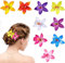 HIFOT 9 Pièces Hawaii Barrette Fleur Pince Cheveux Femme, été Barettes Cheveux Fille, Pince Crocodile Cheveux, Orchidées Accessoires de Coiffure Pour la Plage La FêTe le Mariage