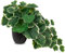 Hollyone Artificial Plants in Black Pots, Fake Wilhelm Langguth Geranium Decorative Faux Potted Plants, Realistic House Plant Indoor for Home, Bathroom, Living Room, Kitchen, Shelf, Office Decorations