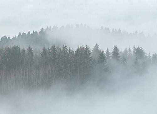 Livingwalls Fototapete Designwalls Vliestapete Misty Forest Tapete Wald in Blau, Braun, Grau, Grün, Taupe 350 x 255 cm XXL Wandtapete Wandbild 118604