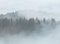 Livingwalls Fototapete Designwalls Vliestapete Misty Forest Tapete Wald in Blau, Braun, Grau, Grün, Taupe 350 x 255 cm XXL Wandtapete Wandbild 118604