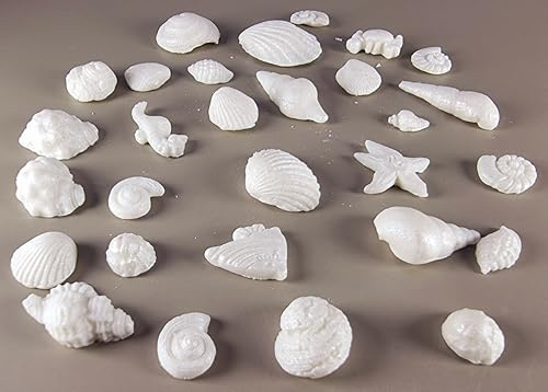 30 x Edible 3D seashells shells shells icing toppers, cake cupcakes decorations T007 (Pearl White)