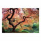 Bilderwelten Fototapete Wald Japanischer Garten 190 x 288 cm Vlies-Tapete XXL Waldtapete Smart Wandtapete Wanddekoration Wohnzimmer Schlafzimmer
