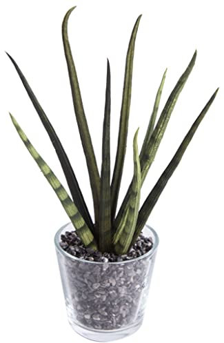 Kunstpflanze Sanseveria/künstlicher Bogenhanf im Glas