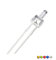 Vrabocry 100-pcs 2mm Weiß Rot Grün Blau Gelb Flache Top LED Diode Lichter Helle Beleuchtung Birne Lampen Elektronik Komponenten Indikator Licht Emitting Dioden (5 Farben X 20pcs = Klare 100pcs)