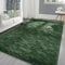 Pettop Fluffy Deep Green Rug for Bedroom Living Room, 8x10Feet Rectangle Large Plush Fuzzy Carpet for Girls Kids Boys, Non-Slip and Washable for Nursery Classroom, Home Decor