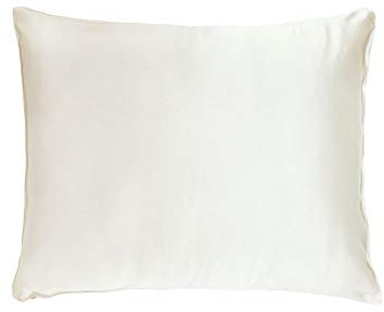 THXSILK Kissenbezug aus 100% Seide für Haar und Haut 25 Momme Maulbeerseide Kopfkissenbezug, Hypoallergen Kissenbezüge mit verstecktem Reißverschluss (45x45cm, Weiß)