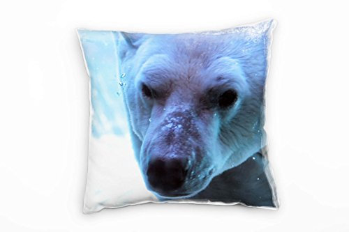 Paul Sinus Art Tiere, Macro, Winter, Eisbär, blau, weiß, Gefahr Deko Kissen 40x40cm für Couch Sofa Lounge Zierkissen - Dekoration zum Wohlfühlen