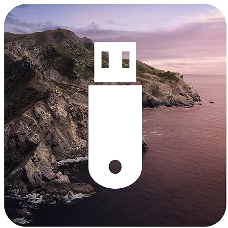 D-S Systems Clé d’Installation Compatible avec macOS 10.15 Catalina USB OS X (Clé) d'installation Amorçable Récupération Bootable - Installation/Update/Downgrade