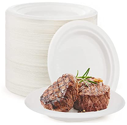 Piatti di carta super rigidi, 100% biodegradabili e compostabili, piatti monouso ecologici bianchi in bagassa, 100 pezzi (22,9 cm)