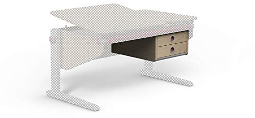 moll Winner Twin Box | Erweiterung für Kinderschreibtisch Winner & Winner Split | zusätzlicher Stauraum unter der Schublade für mehr Ordnung | ideal für Schulkinder | Made in Germany