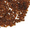 Perlin Rocailles Glasperlen Indianerperlen Saatperlen Pony Perlen 3mm Transparent 14 Farben 8/0 Klar Mini Rund Seed Beads 3300 Stk (Dunkelbraun)