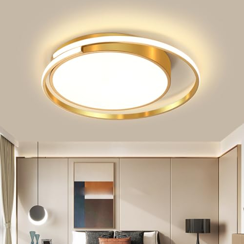 Deckenleuchte LED Schlafzimmer Deckenlampe mit Fernbedienung Dimmbar Moderner Acryl Lampenschirm Kronleuchter Deckenlicht Beleuchtung für Wohnzimmer,Kinderzimmer,Esszimmer Küche Chenlampe (60CM)