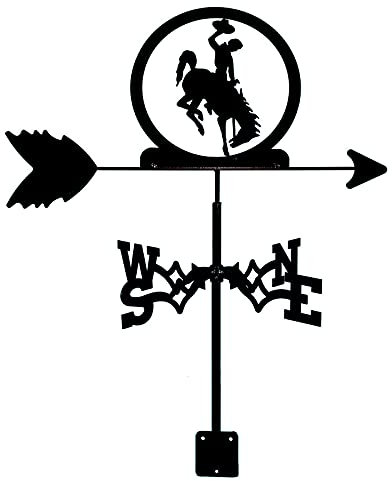 Girouette en métal Noir, girouette d'extérieur en Fer, girouette de Cour, indicateur de Direction du Vent en Acier Inoxydable, Outil de Mesure