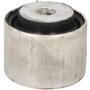 Bearing, axle body Delphi TD1011W