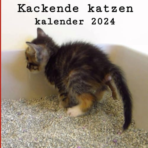 Kackende Katzen Kalender 2024: lustige Geschenke