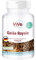 Gelée Royale 500mg - 90 Kapseln - Standardisiert auf 4% 10-HDA - Hochwertige Qualität nach ISO-Norm - Schonend gefriergetrocknet | Qualität aus Deutschland von ViVe Supplements