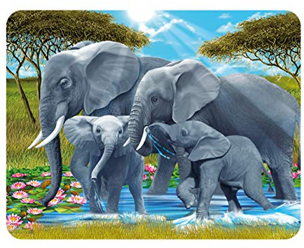 3D LiveLife Magnet - Pachyderm Pals from Deluxebase. Lenticular 3D Elephant Fridge Magnet. Magnetic decor for kids and adults with artwork licensed from renowned artist, Michael Searle