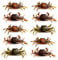 FUWIND 10 Pcs Crab Bait, 3D Simulation Crab Soft Bait with Pointed Hook, Sea Fish Bait Buckle, Sea Fish Fishing Tackle Tools