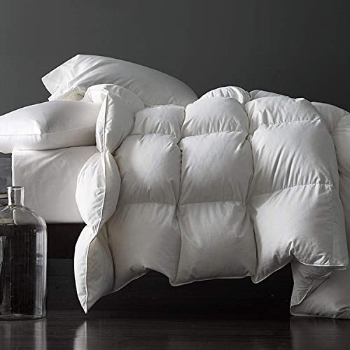 Royoliving Premium Feathers Down Duvet Insert Comforter Queen Size Heavyweight Thickened Winter White 100% Cotton Cover with Corner Tabs (90x90, 60 oz)