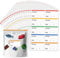 Zngou 200 Pcs Freezer Labels Easy Peel Off Frozen Food Stickers Coloured Meal Prep Storage Spice Date for Bottle Box Bags Jars Waterproof