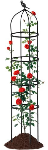 Treillis pour grimpantes dans Le Jardin, 1,74 m, Treillis métallique | Tuteur pour Jasmin, clématite, Roses, intérieur et extérieur, terrasse, Jardin