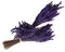 Lavanda Experience, Pack de 3 Ramos de Flores Naturales de Lavanda Preservadas de Cultivo Ecológico, de Elaboración Artesanal y Primera Calidad.