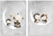 Calmondo 2er Set Kinderbilder Mond und Sterne | Wand-Poster, Tierbilder, Geschenkidee für Kinder & Babys | Wandbilder für Junge und Mädchen | Deko für Kinderzimmer & Babyzimmer | ohne Rahmen | A4
