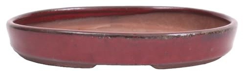 Bonsai - Schale, Waldschale, oval 21 x 15.5 x 3.5 cm Bordeaux 51335