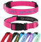 Hundehalsband Personalisiert mit Namen und Telefonnummer Bestickt für XS Kleine Mittlere Große Hunde(Rosa)
